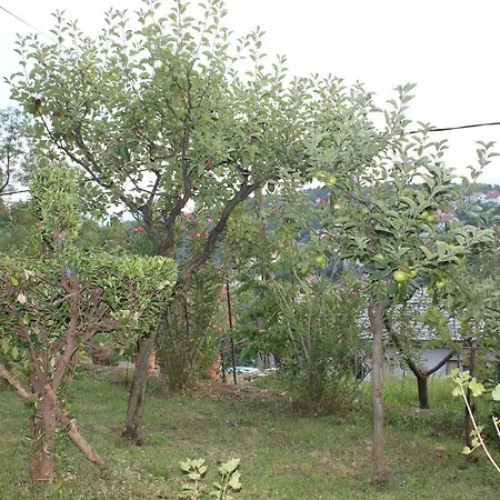 Tutnovo 13 Apartament