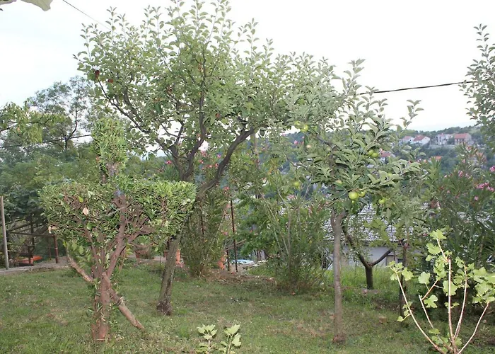 Tutnovo 13 公寓